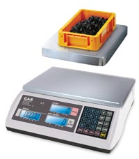 connect the counting scale to a platform scale